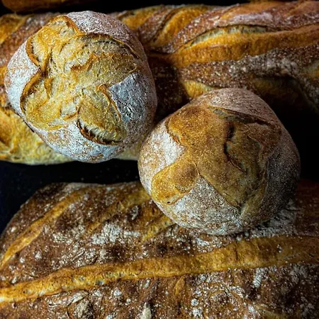 La Ferme Du Bien-etre Couette-café Saint-Julien-Chapteuil